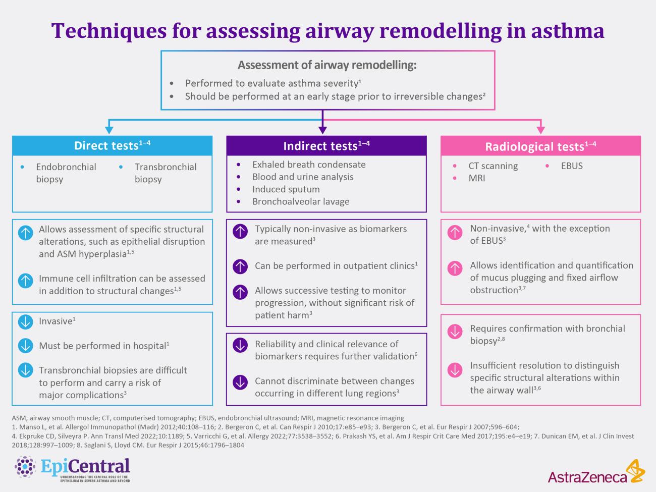 The Airway Epithelium Plays A Key Role In Driving Airway Remodelling In ...